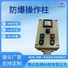 oһһ_ ʽ͵زSLBZ-A2D2K1B1