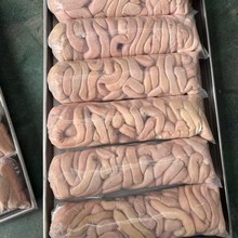 ţС�c���r���aţ�cţ�s�ʳ��ţ�A�cţɢ��ţ���cţ��ţ��������