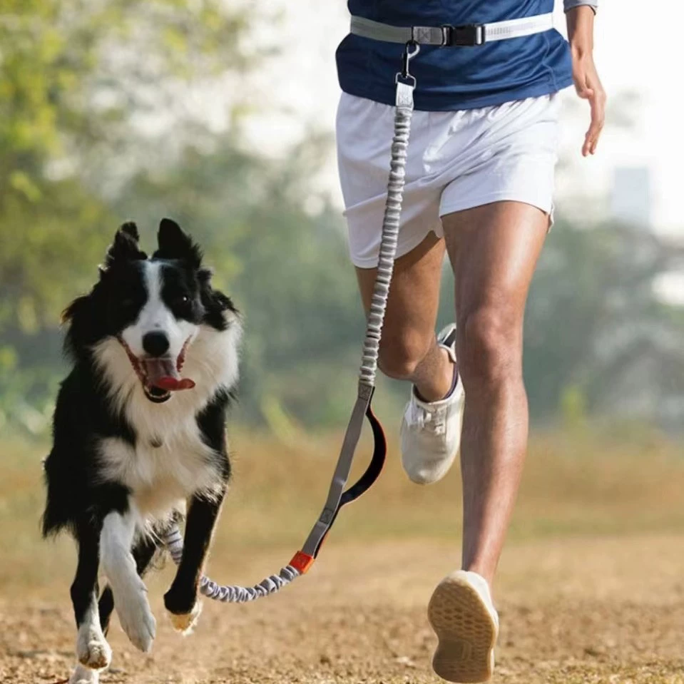 Товары для домашних животных Ткань для собак