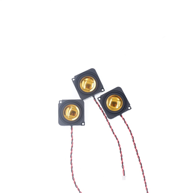 方形2828腔体喇叭8Ω/4Ω2W全频内磁4欧2瓦BOX喇叭家电扬声器单元|undefined