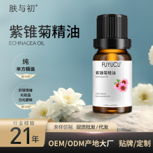 紫锥菊精油松果菊油护肤香薰DIY化妆品原料芳疗级紫锥菊单方精油