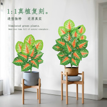 �羳���滨�Gֲ�tо���c�Ҿ��b����Ե�ˮ�^�����~ֲ��߷���