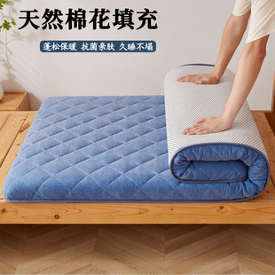 Cotton Mattress Cushion Home Thickened Student Dormitory Bedding Tatami Mattress Pad Rental Single Bed Bottom Cross-Border