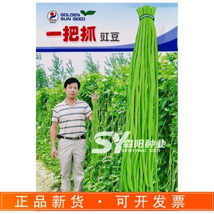 ��ꖼtһ��ץ�����N������\�Gɫ�rʳ���Ƹɶ����ļ��������L����