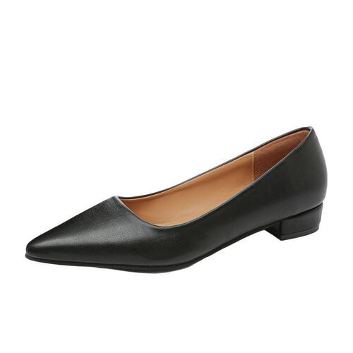 Soft-sole professional black flat shoes for women with pointed points and shallow mouth, comfortable and non-tiring New spring work single-layer shoes