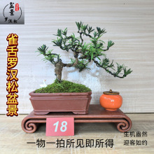 ȸ_h辰ϘʹС GֲͥԺ̨ӭ