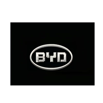 Avtomobil döşəmə paspasları Floor Mats, Car Trunk