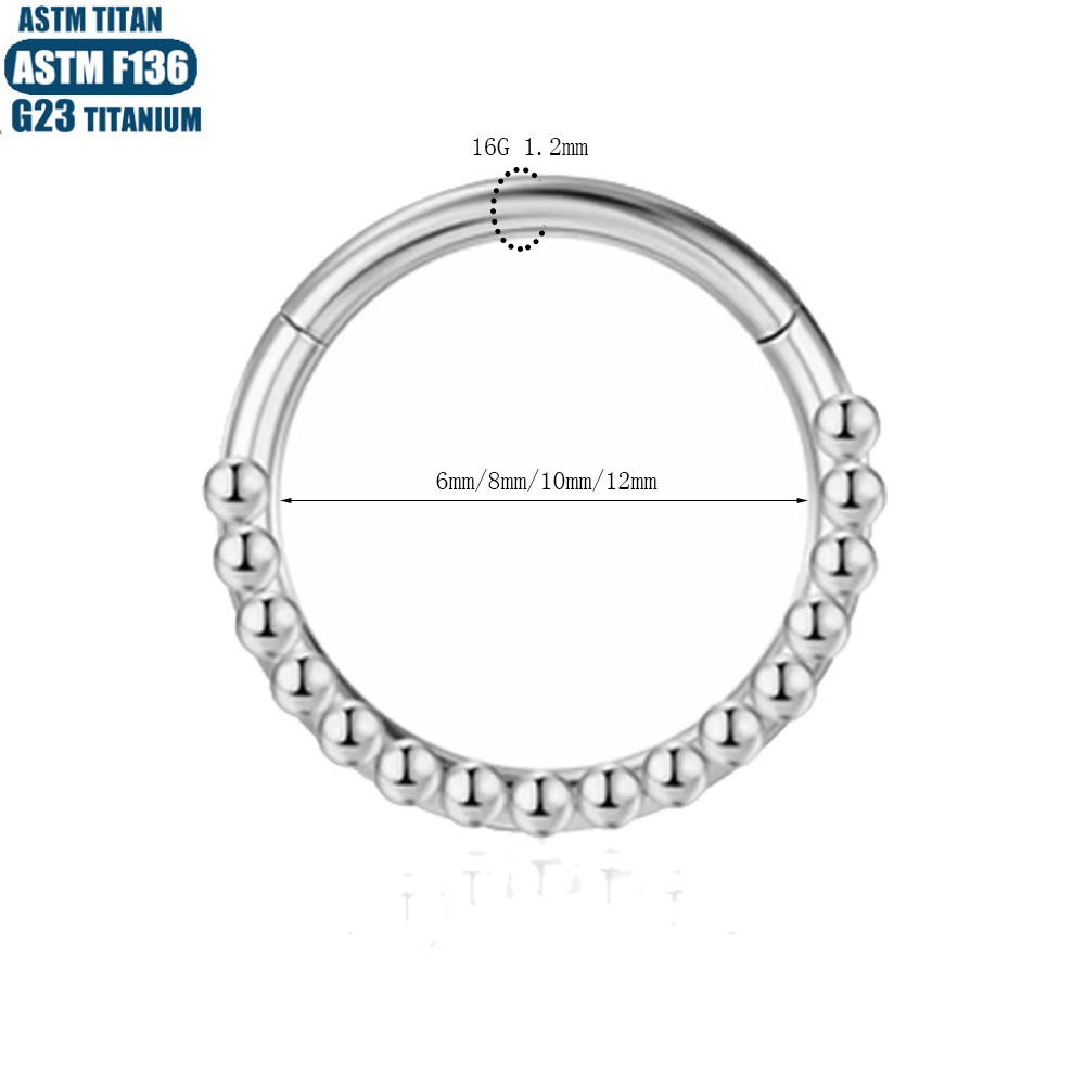 F136 Titanium Nose Ring Seamless Ring with Zircon Earrings Hinged Perforated Jewelry detail image 7