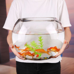 Creative round glass fish tank transparent large desktop thickened turtle tank goldfish tank hydroponic living room feng shui money