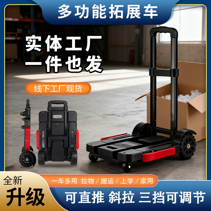 Foldable Small Cart, Silent, Foldable, Portable Mini Trolley, Grocery Shopping, Iron-Plastic Body, Lightweight Trolley, Customized