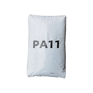 PA11