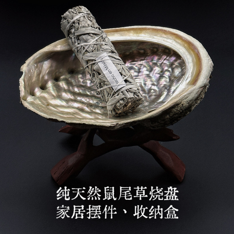 特大号澳洲鲍鱼壳批发加州白鼠尾草雪松圣木蓝草烧盘天然家居摆件|undefined