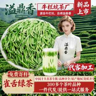 �綦��ȸ��G��2026�²��ѿ���l�Ĵ��Ű��������ɢ�b���������