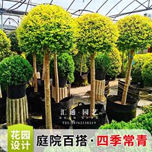 ����Ůؑ��ͥԺ�@�քe���������G�쾰ֲ������ǻ��@�����辰����