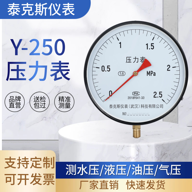 泰克斯Y250普通压力表大表盘2.5MPa大设备专用高精度真空压力表