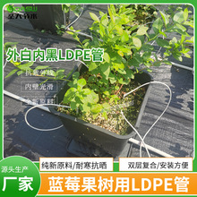 ������@��Ȱ�ɫpe�� �����Ϸ����ϻ��ι�μ���16�ڰ׏ͺϹ�