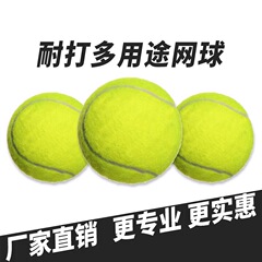 初心者向けテニスボール、高弾性、耐久性、トレーニングテニスボール、耐摩耗性、中級および低級競技用の特別なマッサージペットテニスボール