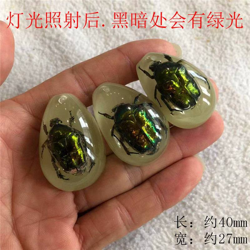 厳選された昆虫琥珀標本、サソリ、蝉、ブラインドボックス、子供向けギフト、教科書、学習、発掘、考古学的ペンダントアクセサリー|undefined