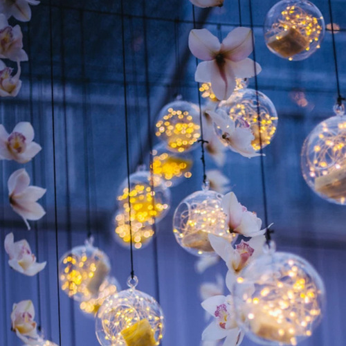 Christmas ball hollow ball plastic creative acrylic ball eternal flower hanging ball holiday decoration gift transparent ball