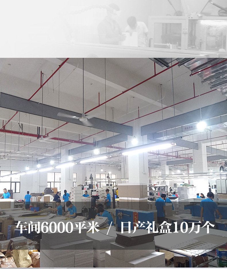 新厂详情初稿_02