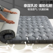 乳胶床垫1.5米榻榻米软垫被铺底出租房宿舍单人海绵床垫褥子1.8米