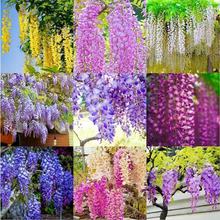 ���ٷN���҃��������ļ��_��ͥԺ�ļ��Nֲ���������ͺ�ֲ�������}