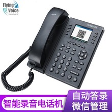 wrFLYINGVOICE΢ԒCCԄԚgӭ~