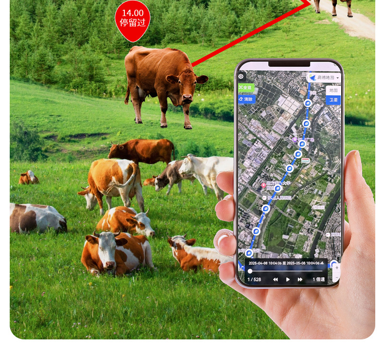 Mongolian Cattle and Sheep Tracker Waterproof Gps Tracker for Mountainous Areas with Solar Power, Popular for Cross-Border Use