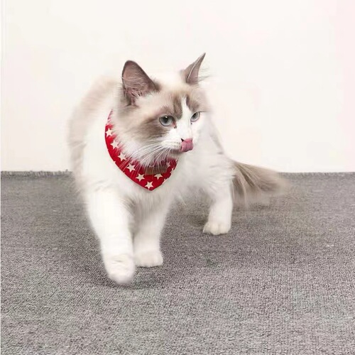 Pet Scarf Cat High Fashion Triangle Bandana Dog Leather Collar Internet Celebrity Small Dog Puppy Saliva Towel Neck Scarf