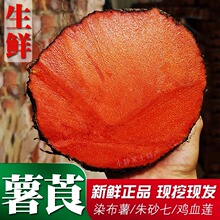 Ұ����ݹѪ������ɰ��Ѫ���J��ɰɏ�t����Ѫ��ʳ���rƷ500g�в�ș