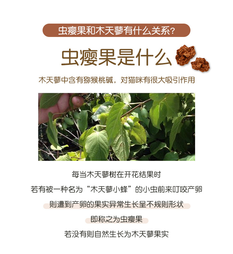 挂门_05