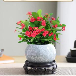�F���������ļ��_������÷�����҃��辰�Gֲ�k���̨�����_��ֲ��