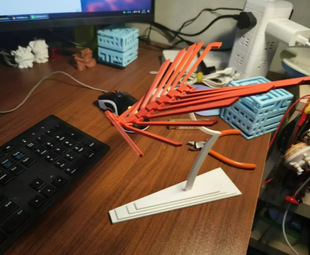 Amazon’S Popular 3D Flexible Balancing Bird/Dragon