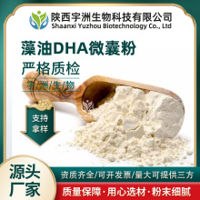 藻油DHA微囊粉10%-40%二十二碳六烯酸食品级原料水溶性固体饮料粉