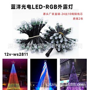 Led pixel DC12V 12mm 5V RGB full color exposed light string perforated lamp WS2811 Christmas light string