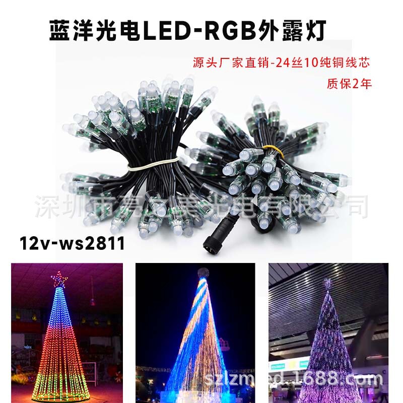 Ledピクセルdc 12V 12mm 5V RGBフルカラー露出ライトストリング穿孔ライトws 2811クリスマスライトストリング|undefined