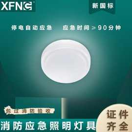 LED防水吸顶应急灯DC24/36V智能疏散一体化三防吸顶照明灯A型