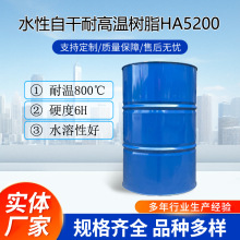 水性自干无机硅耐高温800度特种树脂金属专也可烘烤5200