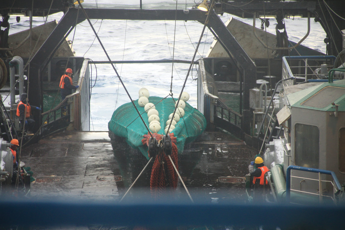 10949611663_133576995