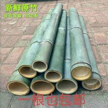 ë��Ͳ�ӾG���Ͳ���뱭���^��Ͳ�Y�c�׃��@diy�ֹ�����