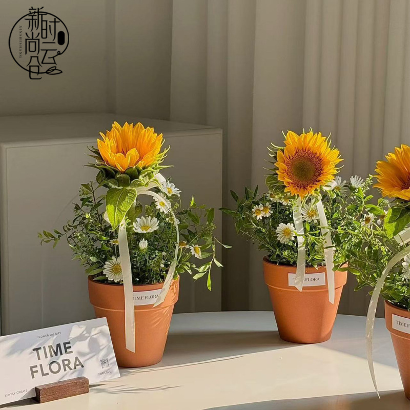 教师节仿陶塑料防水耐砸抗摔花盆盒向日葵鲜花花束小盆栽花艺材料|undefined
