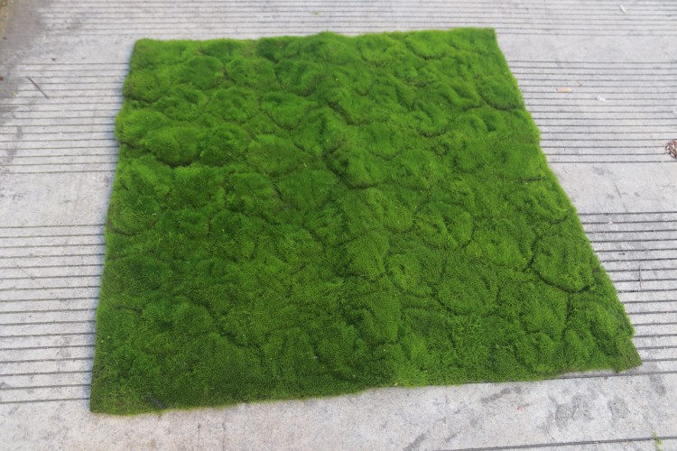 IMG_1307_proc_副本