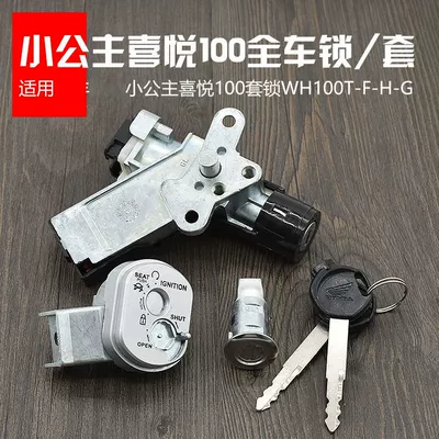 Motorcycle little Princess joy 100 sets lock WH100T-F-H-G Youyue electric door lock magnetic anti-theft whole car lock (Motorcycle Lock) - joy-100-full-car-lockset