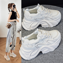 �ϵ�ЬŮ2025�＾�¿�ɸ������eЬ�ٴ�͸�������7CMС��Ь