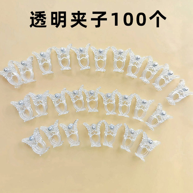 100 transparent clips