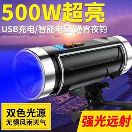 手电筒;头灯头戴电筒;提灯