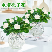 �d�ӻ�ˮ��ֲ�����Ժ��B�k���҃����՚⻨�ļ��_������Gֲ�҃�