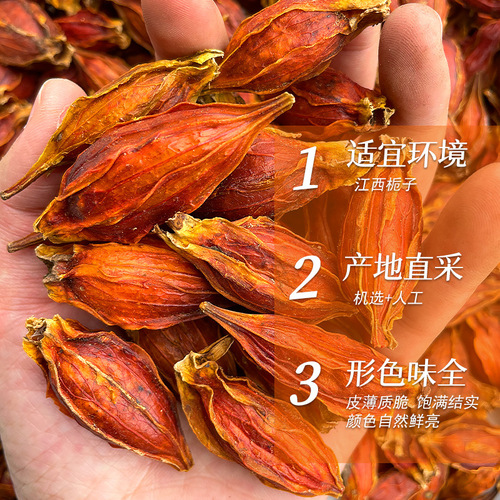 Huayuanliangpin Red Gardenia 100 pounds hand-picked plump yellow gardenia 500 grams gardenia tea mountain gardenia flower tea twigs yellow