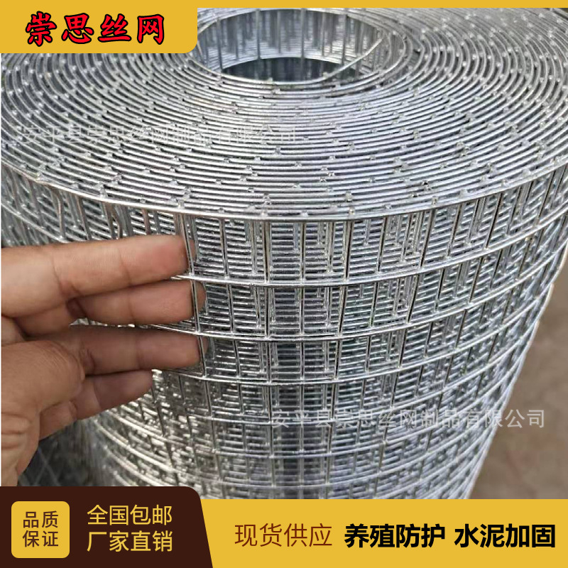 Galvanized wire mesh wire mesh chicken fence enclosure breeding fence fish pond slope protection cement anti-crack reinforcement plastering Wall