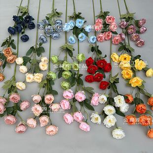 7�^�ᭇĵ������ٻ����滨�쾰���^����Ҿ��b羳���Q